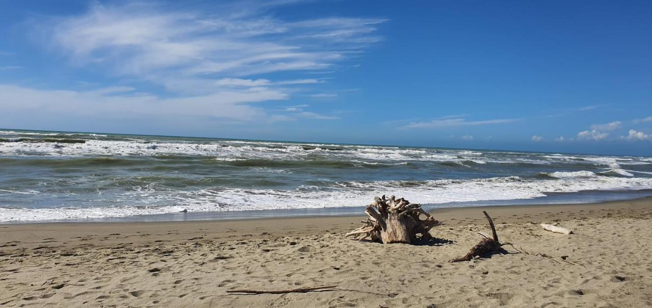 Domusauroom, Relax Nel Cuore Della Versilia - Pet Friendly เวียเรจโจ ภายนอก รูปภาพ