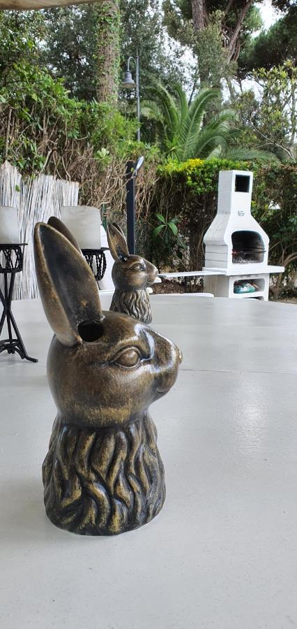 Domusauroom, Relax Nel Cuore Della Versilia - Pet Friendly เวียเรจโจ ภายนอก รูปภาพ