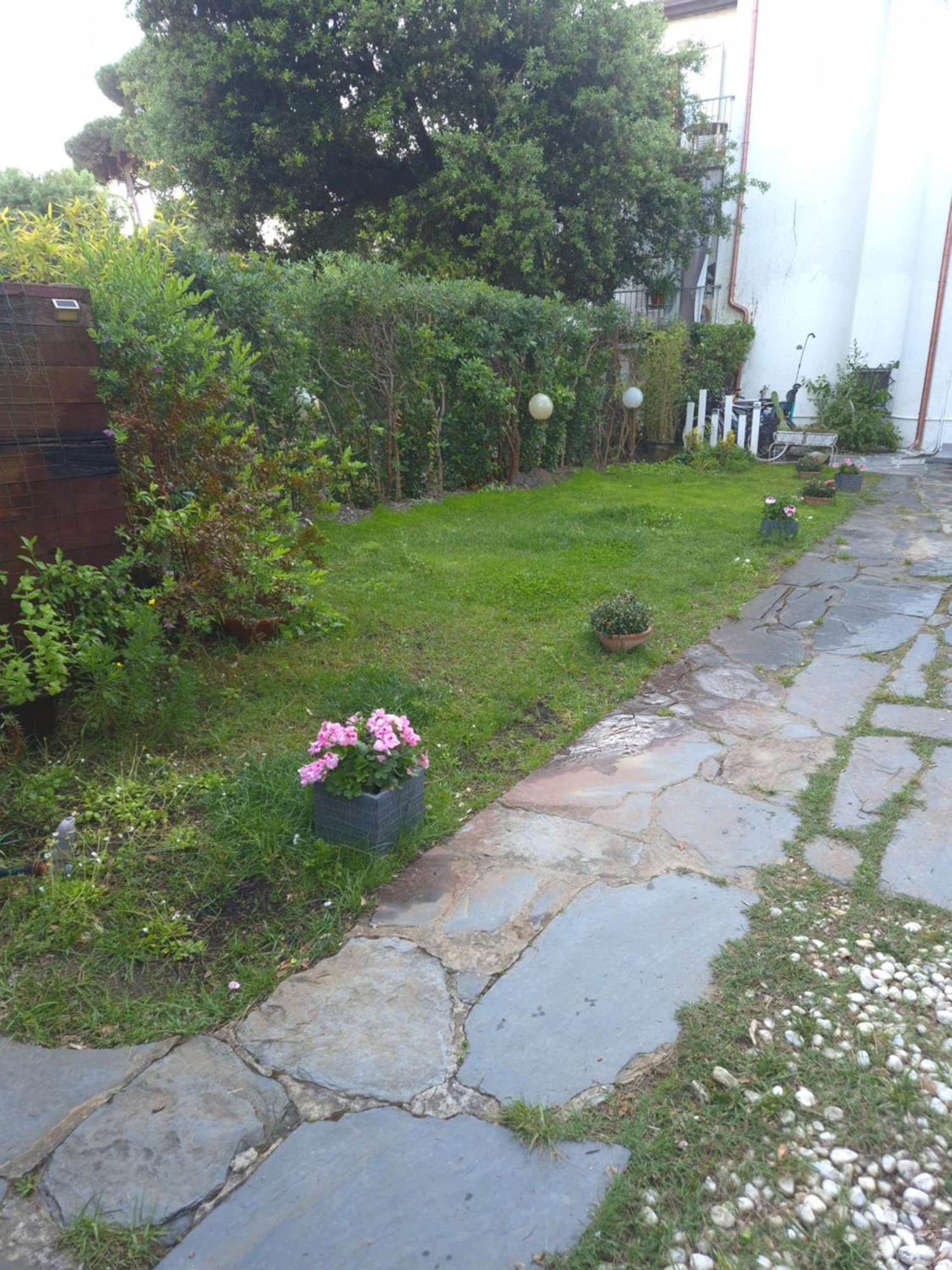 Domusauroom, Relax Nel Cuore Della Versilia - Pet Friendly เวียเรจโจ ภายนอก รูปภาพ
