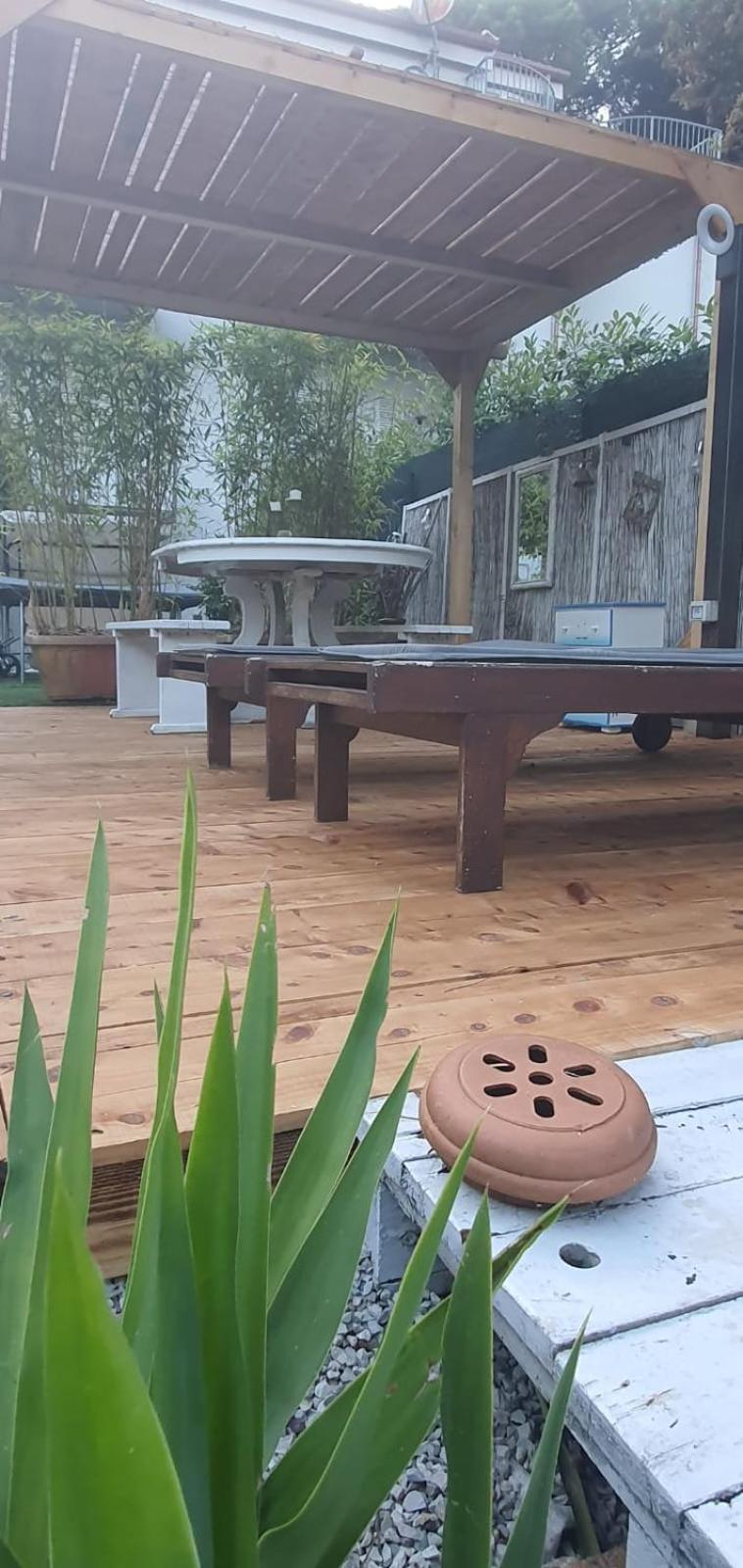 Domusauroom, Relax Nel Cuore Della Versilia - Pet Friendly เวียเรจโจ ภายนอก รูปภาพ